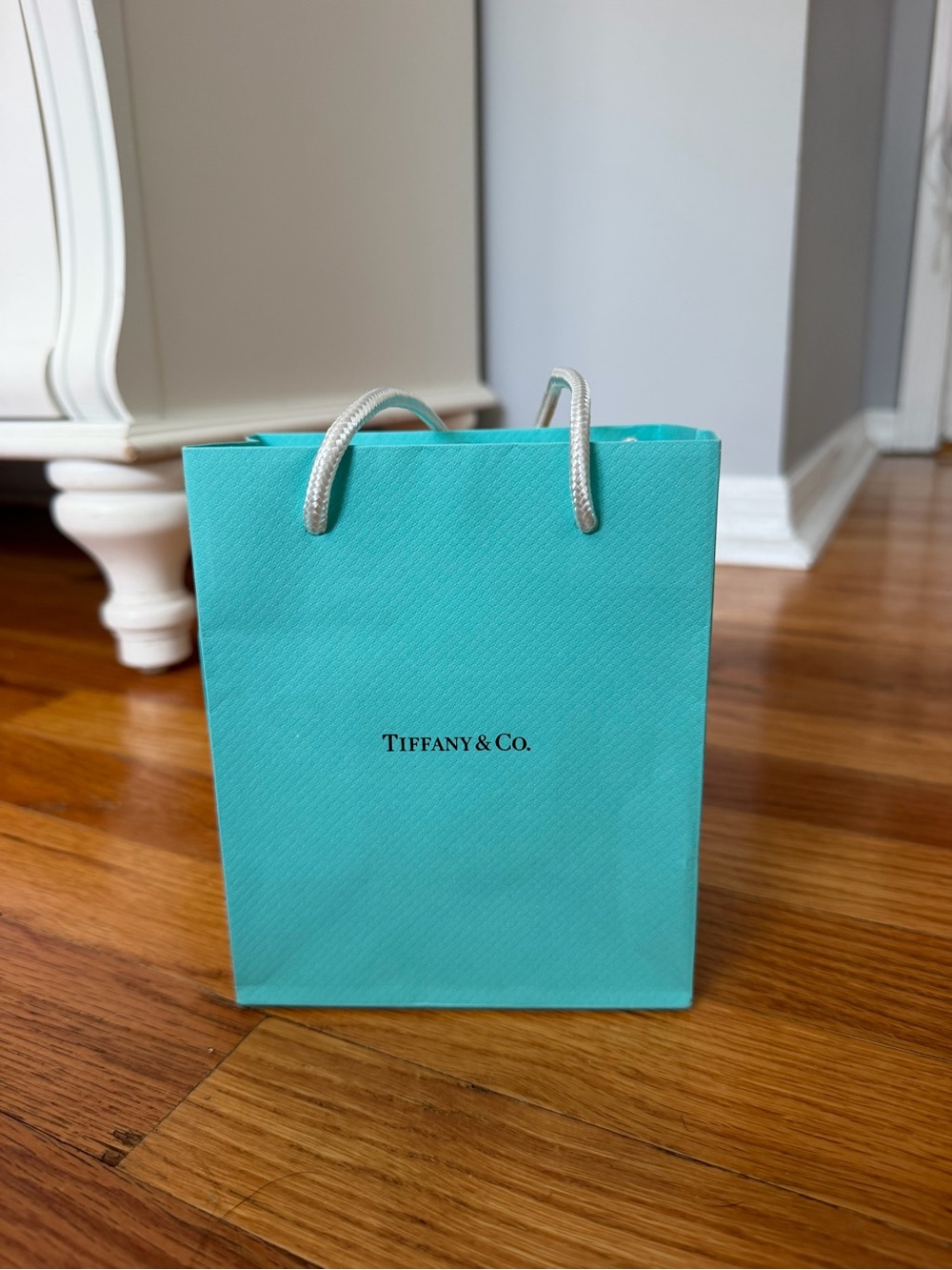 Tiffany & Co. robin's-egg blue shopping bag with silver handles